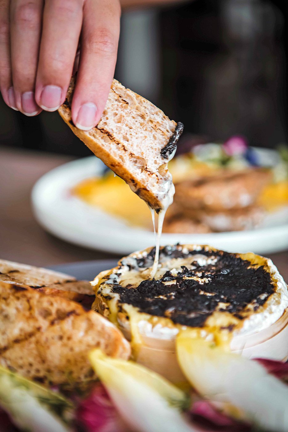 The Summerhouse Camembert 2.jpg